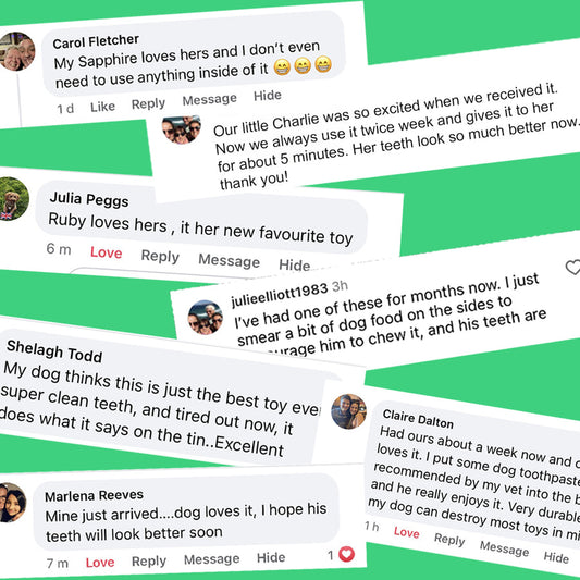 SweetPetStory® Toothbrush Toy