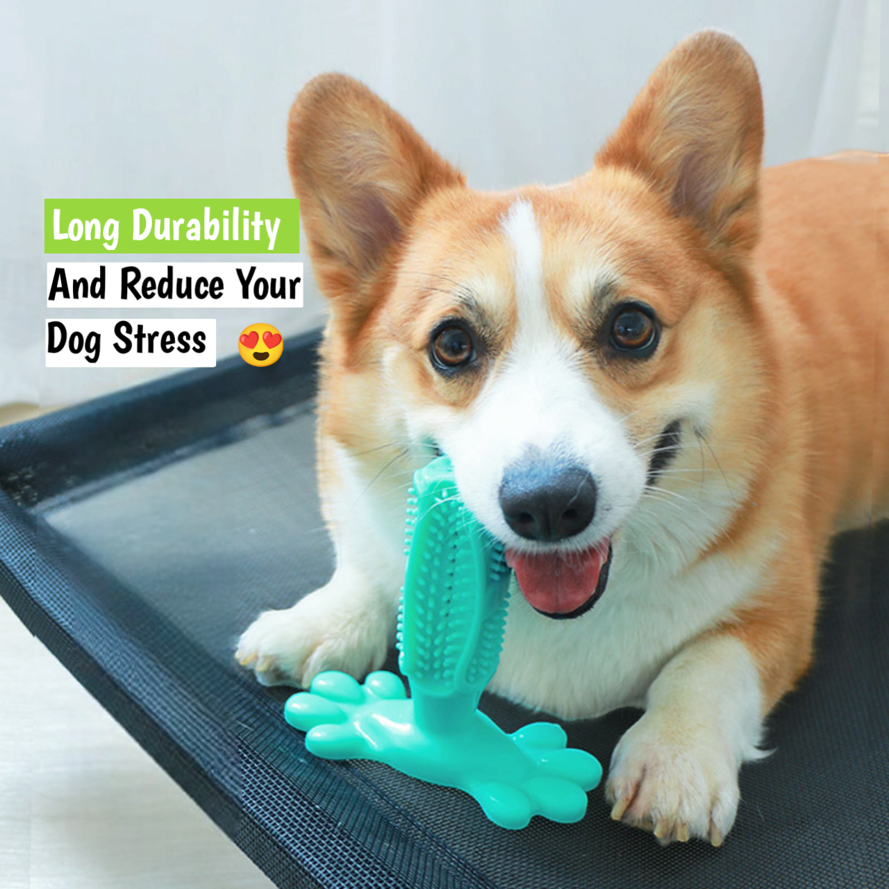 SweetPetStory® Toothbrush Toy