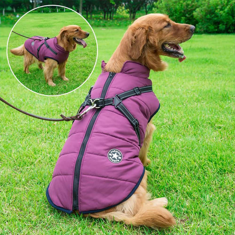 SweetPetStory® Dog Winter Jacket With Harness