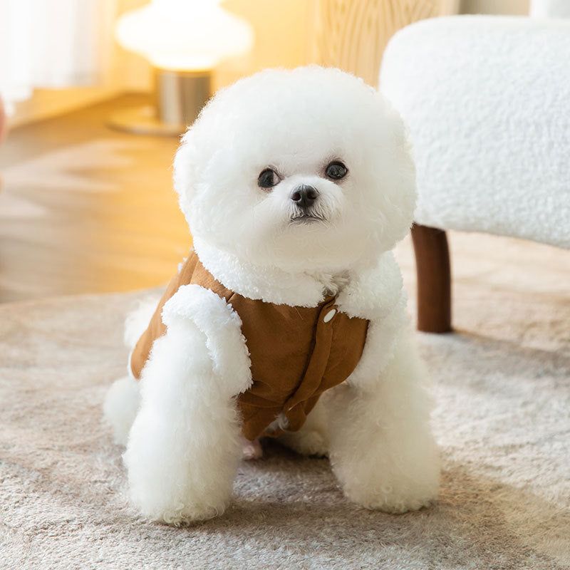 SweetPetStory® Cute Stylish Dog Coat